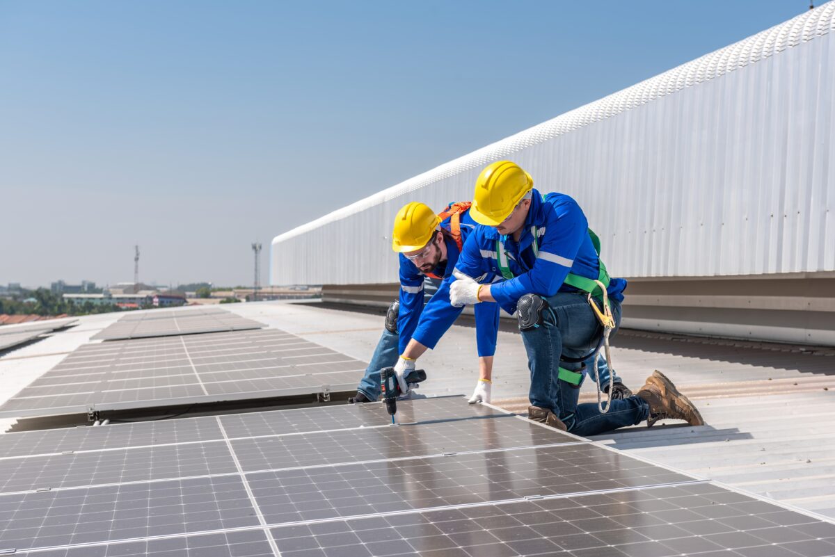 Net Zero Consultancy services for logistics